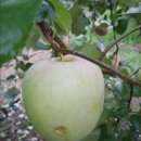 민혁농장 이미지