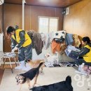(주)원진월드와이드 - 7233 | (주)원진월드와이드
