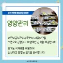 예능영재유치원 이미지