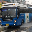 프라임여행사 이미지
