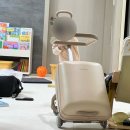 도린 | 뉴이 키즈 캐리어 여행용 16개월 아기 내돈내산 솔직 후기