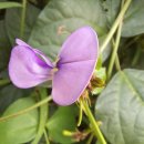 산복약수터 이미지