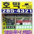 신안호박공인중개사사무소 네이버블로그