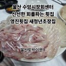 울산 수암회센터 광어회 밀치회 영진횟집 새천년초장집 후기