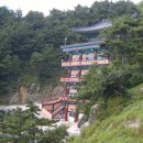 연화산민박 Daum카페