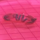 바이오소프트 이미지