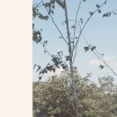 워킹인써클 이미지