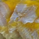 쭌카라반 캠핑장 이미지