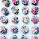 낙원자동차서비스 이미지