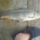 송라낚시터 이미지