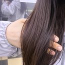 81 | 단백질 트리트먼트 추천 바이아우어 블랙비어81 트리트먼트 사용 후기