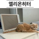 엘리온히터 내돈내산 고양이난로 발난로 고양이월동준비 안전한발난로 사무실책상난로