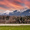 3월 셋째주 주식시황 이미지