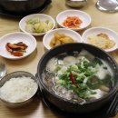 부산도시철도 괴정역 | 어무이동태탕 - 괴정역5번출구 앞 신상 동태탕집^^