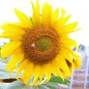 회덕농장 이미지