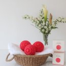 21세기 세탁 이미지