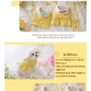 러브펫츠 이미지