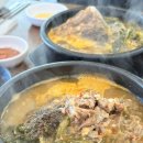 청진동식당 | 포항 24시 식당 맛집 추천 뼈해장국 청진동해장국24시