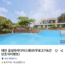 [태안 펜션] 곰섬파라다이스 G1 객실, 바베큐 및 여행 후기❤️