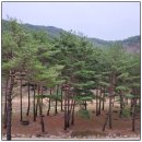 정선파인케어빌 이미지