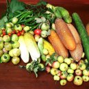 이안농장 이미지