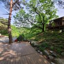 강릉제일오토 이미지