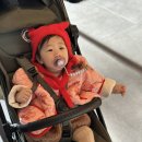 산성어린이집 | 사진일상기록 -; 251027 - 1102 (안토, 첫 열, 어린이집 입학설명회,집들이,T1)