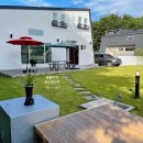 피치203-3 이미지