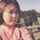 정든목장 네이버블로그