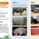 병은농장 이미지