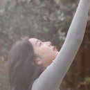 헤이데이(heyday) 이미지