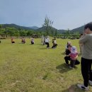 채송화반, 제비꽃반의 학부모 숲 참여활동 이야기 이미지
