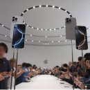 한국1차 이미지