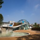 아리수유도 이미지