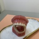 스파클치과교정과치과의원 이미지