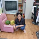 선산이용소