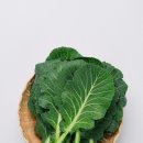 리체한방병원 이미지