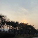 말마니 게스트하우스 | [전주];&#39;달팽이의 하루&#39; 게스트하우스와 전주여행simple ☆후기☆