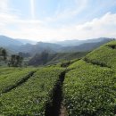 (주)헬로팜 이미지