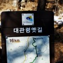 강원관광대우2 이미지