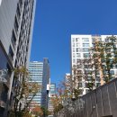 해밀동_해밀동 복합커뮤니티센터 앞 이미지