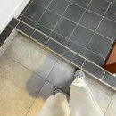 대동기계 | [대전 대동 어뉴애플헤어] 에서 시세이도 클리닉 받고 온 솔직 후기 💆🏻‍♀️✨