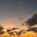 럭스메디컬 이미지