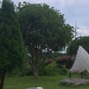 그랑드펜션 이미지