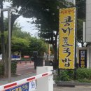 행정서로3길 | [화성 맛집] 시루향기 콩나물국밥 – 든든한 한 끼 후기