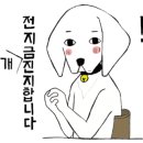 디스크독 연구소 이미지