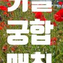 애플결혼정보 이미지