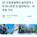 수창공원 앞 이미지