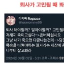 두빵 이미지