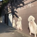 은퇴한 수의사의 저택 이미지